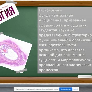 Interesting histology