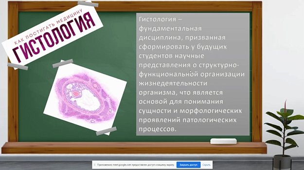 Interesting histology
