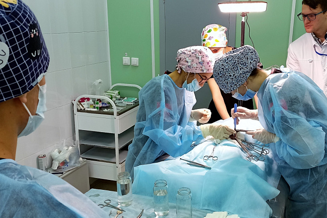 «Пошумели» в Новосибирске!