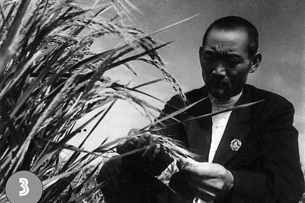 History of the Kyrgyz SSR in photographs: a lucky ticket to the past