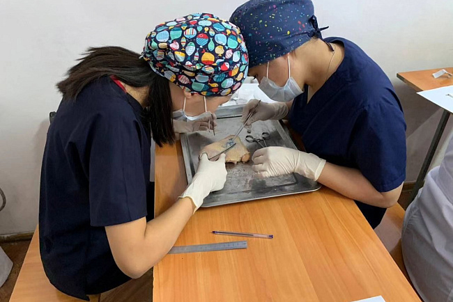 На II Открытом студенческом Пироговском форуме