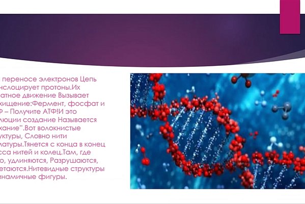 Interesting histology
