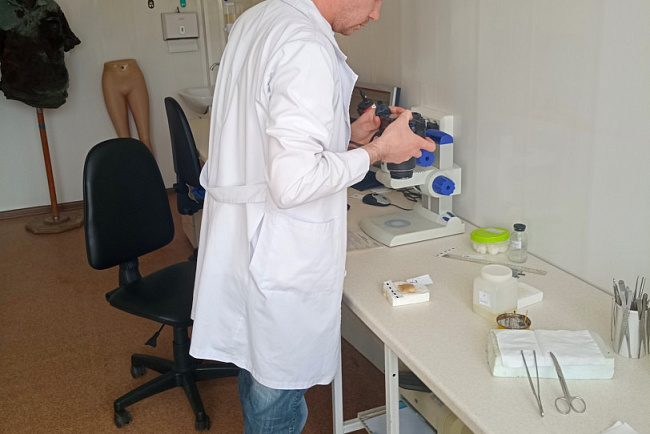 Добрые традиции