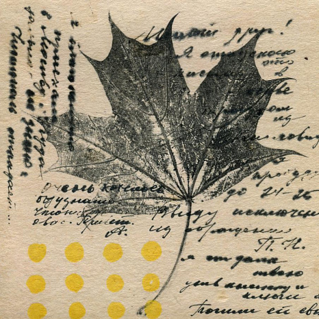 Experts spoke about the fate of the Cyrillic alphabet