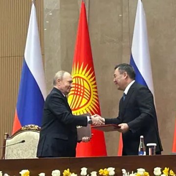 Strategic alliance in action