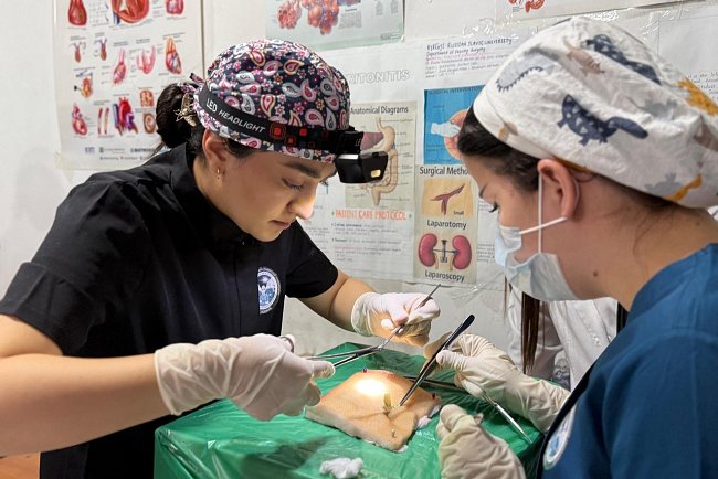 The student surgical Olympiad «Masters of Surgery» was held at KRSU