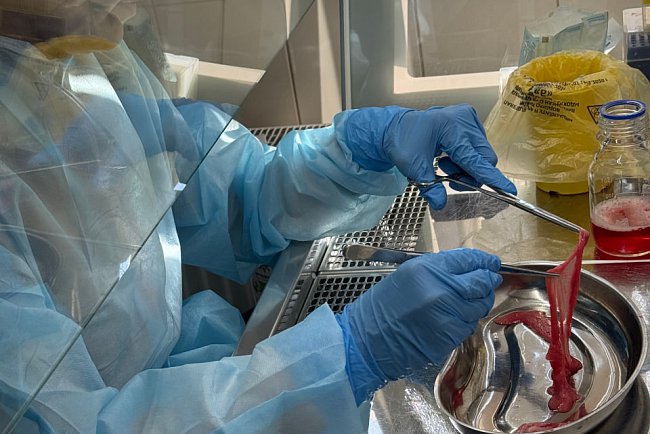 Staff of the KRSU Faculty of Medicine were trained in biobanking, genetic research and cellular technologies