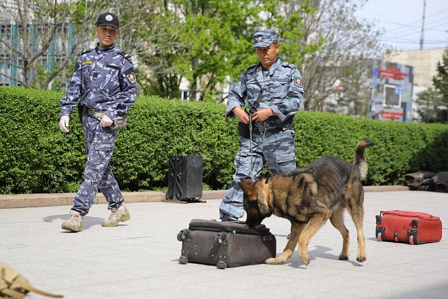 «Live freely — live without drugs»: lectures and demonstrations from the Ministry of Internal Affairs of the Kyrgyz Republic were held at KRSU