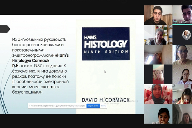 Занимательная гистология