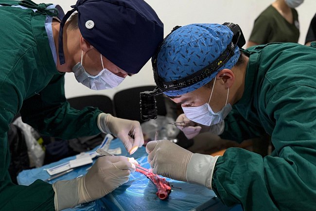 The student surgical Olympiad «Masters of Surgery» was held at KRSU
