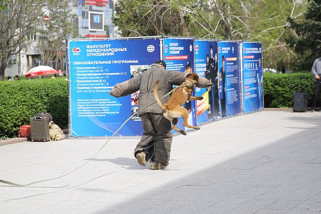 «Live freely — live without drugs»: lectures and demonstrations from the Ministry of Internal Affairs of the Kyrgyz Republic were held at KRSU