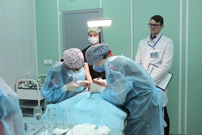 Continuity of knowledge: how the Faculty of Medicine helps freshmen adapt