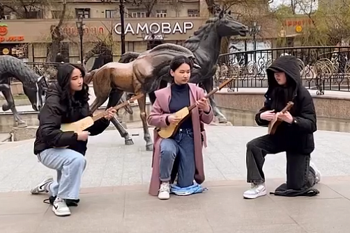 Студенческое волонтерское движение «Novice»