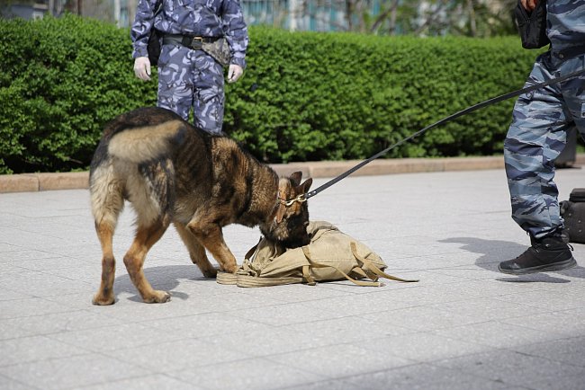 «Live freely — live without drugs»: lectures and demonstrations from the Ministry of Internal Affairs of the Kyrgyz Republic were held at KRSU