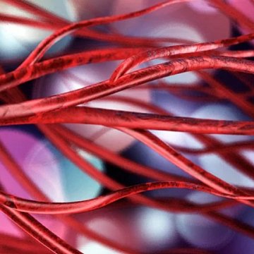 Scientists from Novosibirsk have created a drug to prevent vascular rupture
