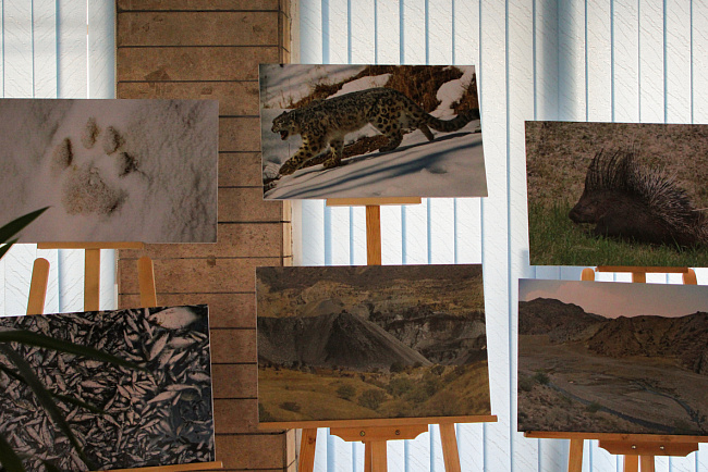 В КРСУ стартовала Неделя «зеленой» экономики