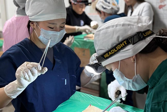 The student surgical Olympiad «Masters of Surgery» was held at KRSU