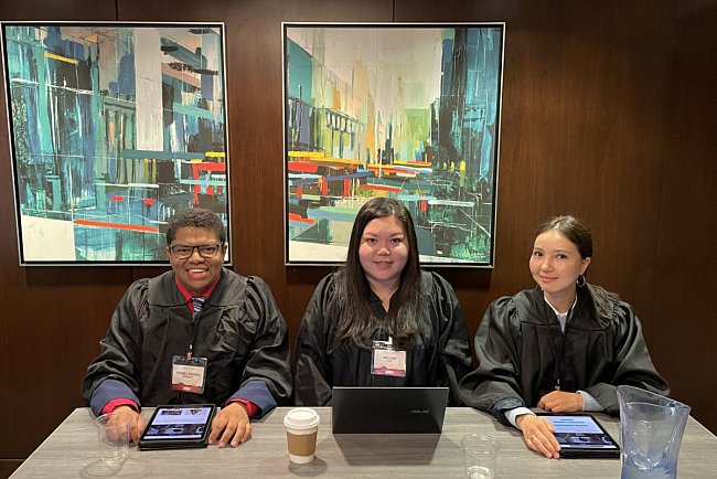 Successful lawyer