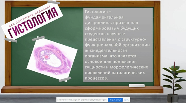 Занимательная гистология