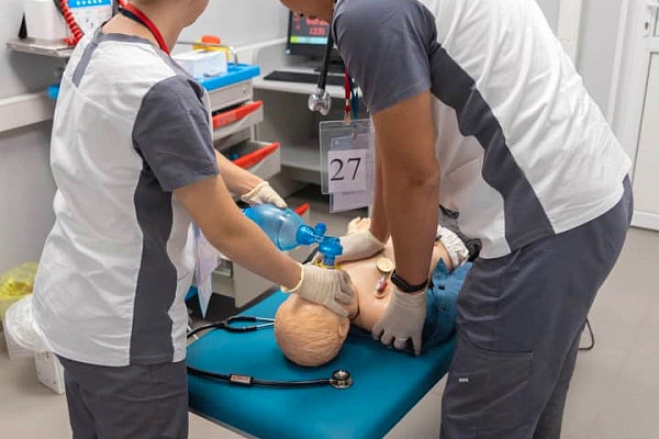 Яркие дебютанты