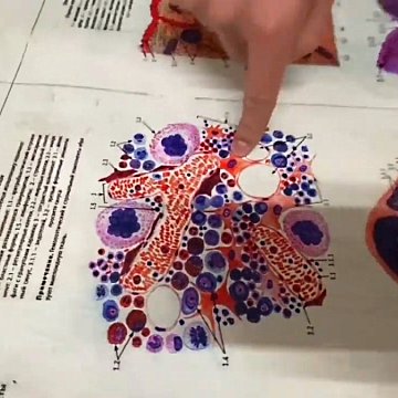 Histology experts were identified at the medical department