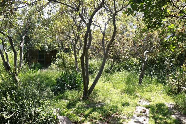 Как выглядят корпуса общежития КРСУ?