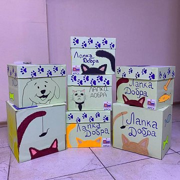 Action "Paw of Goodness"