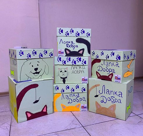 Action "Paw of Goodness"