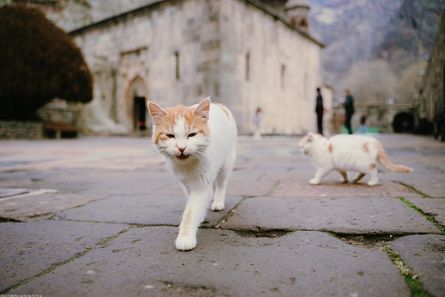Студенты КРСУ «прокачали» лидерские и управленческие навыки