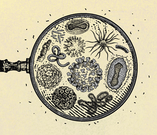 «Between the lines»: what do science pop and prose have in common?