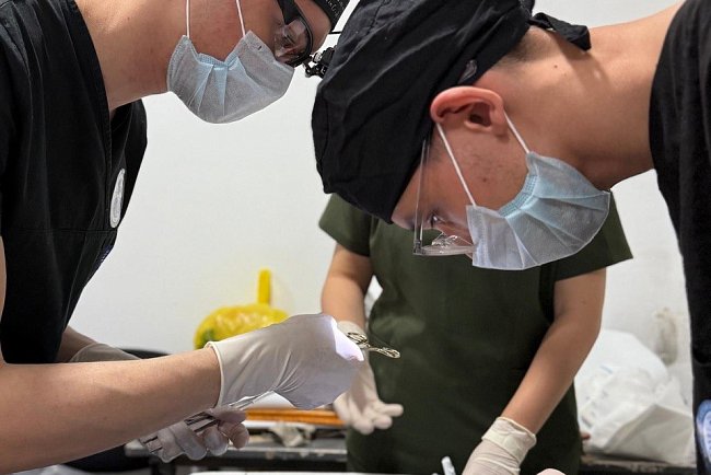 The student surgical Olympiad «Masters of Surgery» was held at KRSU