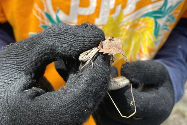 На геологической практике