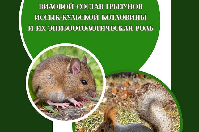 Издательство КРСУ в условиях ограничений