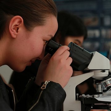 Илим. Ретроспективалык