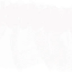 placeholder-image