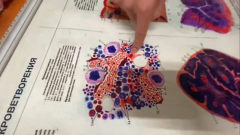 На медфаке определили знатоков гистологии