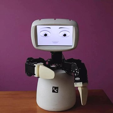 Бишкекте эмоционалдуу роботтун бет ачары болду