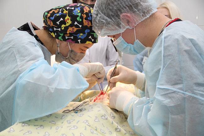 Из Новосибирска с дипломами!