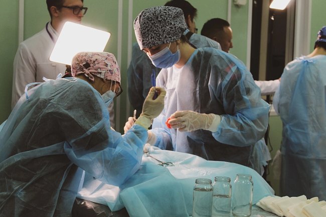 Continuity of knowledge: how the Faculty of Medicine helps freshmen adapt