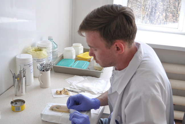 Добрые традиции