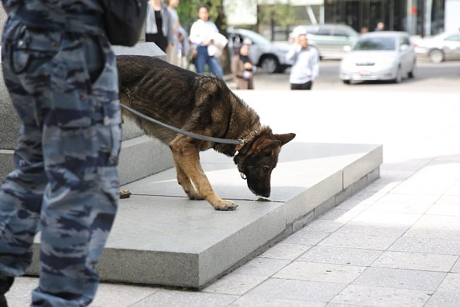«Live freely — live without drugs»: lectures and demonstrations from the Ministry of Internal Affairs of the Kyrgyz Republic were held at KRSU